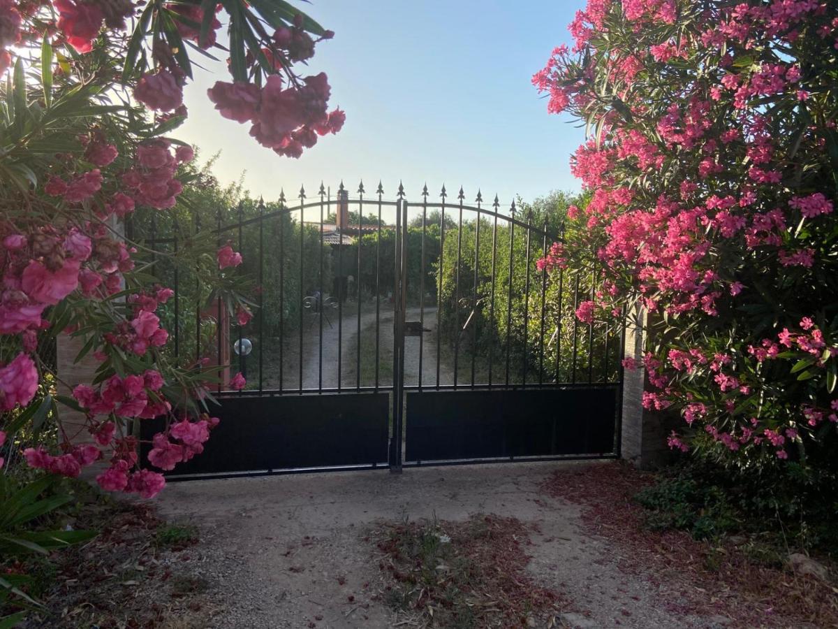 Casa Vacanze Gli Oleandri *